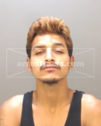 Thomas Peter Moraga