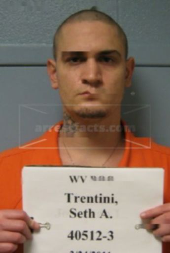 Seth A Trentini
