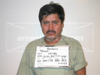 Tomas Apolonio