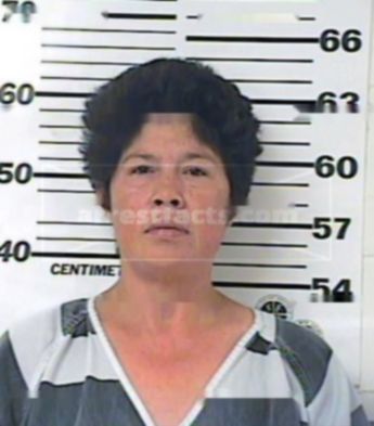 Cecilia Olivares Ortiz