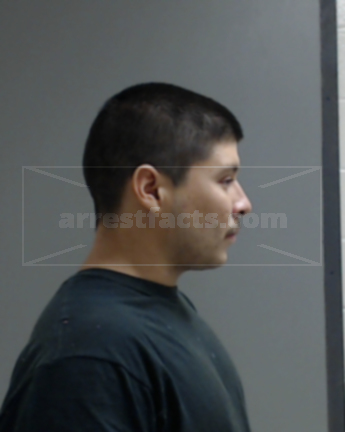 Diego Raul Berlanga Alejandro
