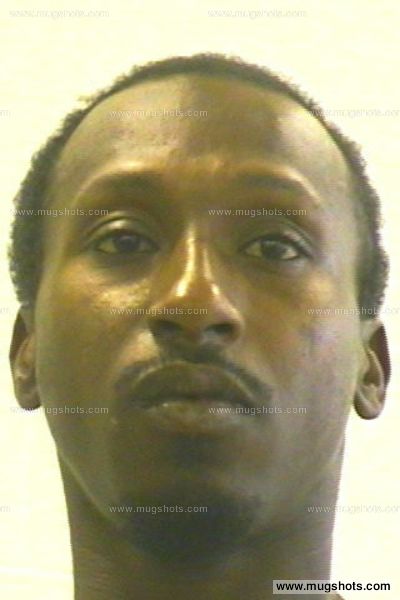 Jamie Lee Solomon