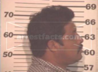 Luis Cruz Castanos