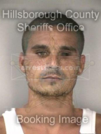 Christopher Murray