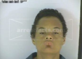 Miranda Maria Phillips