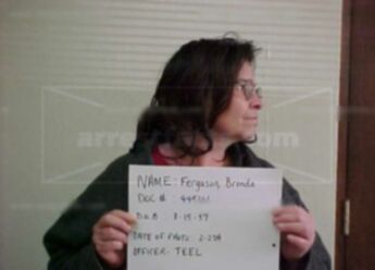 Brenda S Ferguson