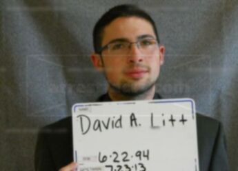 David A Litt