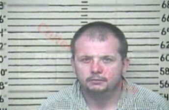 Tracey Lee Gibson