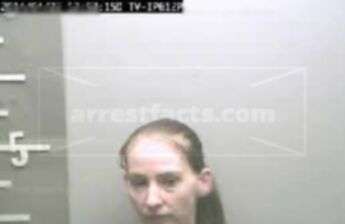 Michelle Lee Biddix