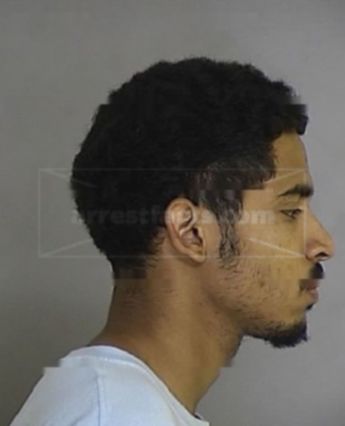 Louis Troy Martin