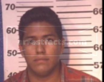 Julio Cesar Ramirez Castillejos