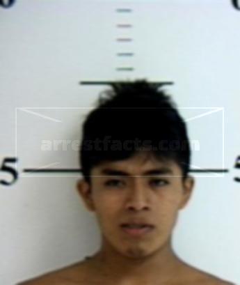 Mayolo Gomez