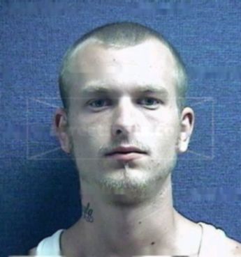 Robert Lee Perkins