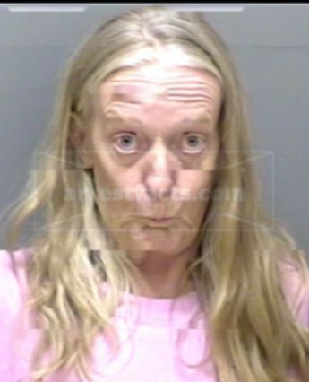 Mary L Shupe