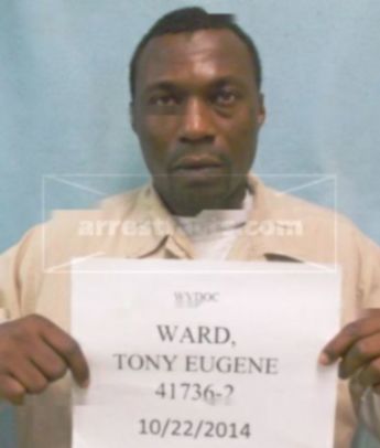 Tony E Ward