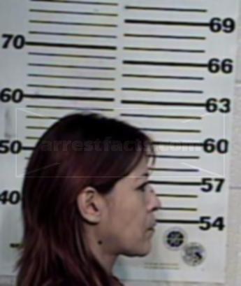 Liza Anne Hernandez Reyna