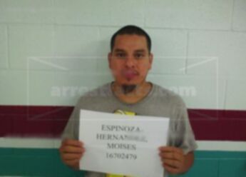 Moises Espinoza-Hernandez