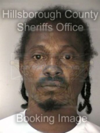 Timothy E Sneed