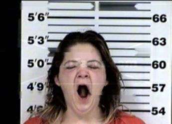 Swan Springer Foster