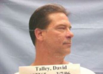 David P Talley