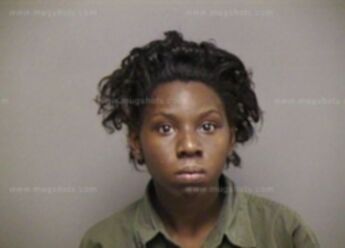 Joyce Ann Wright