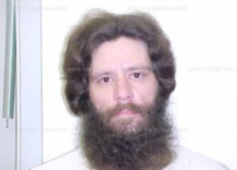 Michael J Ingold