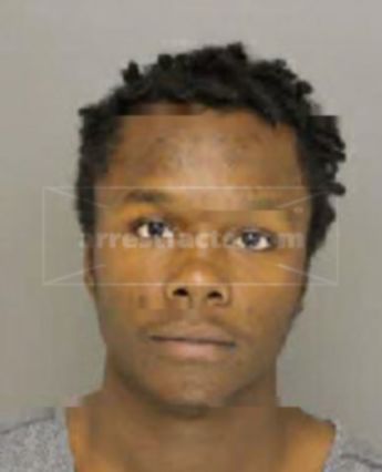 Desman Terrell Ray