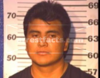 Cesar Rocha Ibarra