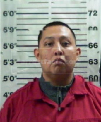 Travis Lang Little