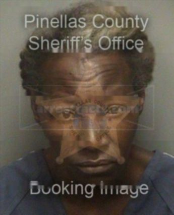Brenda Ann Howard
