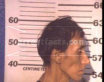 Arnulfo Jr Martinez Aros