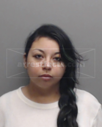 Amy Michelle Magana