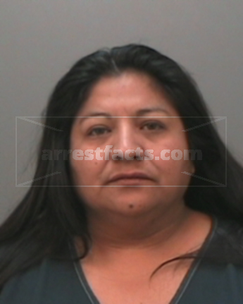 Sandy Ann Noriega