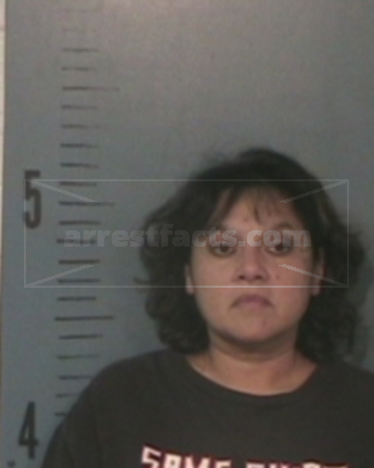 Christine Elva Castillo