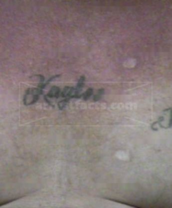 Roger L Boyett