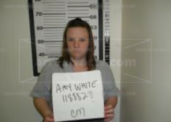 Amy Leann White