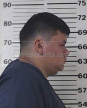 Mikal Ivan Ochoa