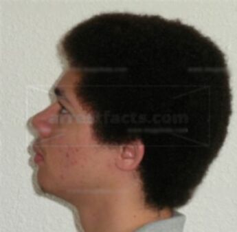 Lorenzo M Robinson