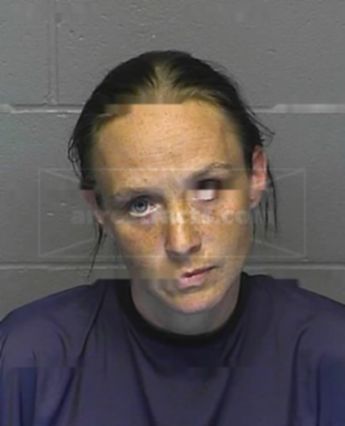 Heidi Michelle Bowen