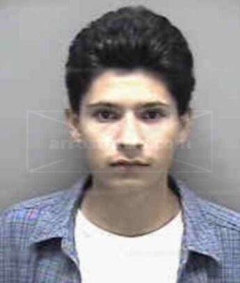 Anthony M Martinez
