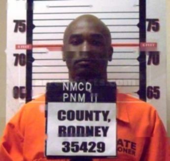 Rodney County