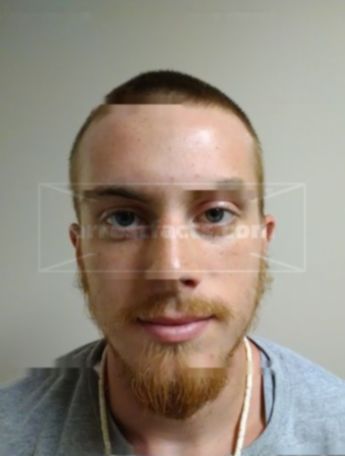 Dillion M Warren