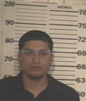 Steven Gonzalez Flores