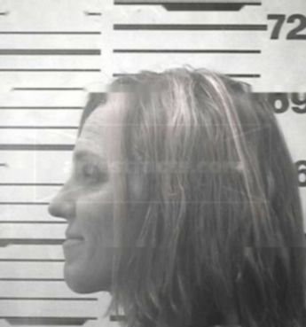 Shelley M Carlisle
