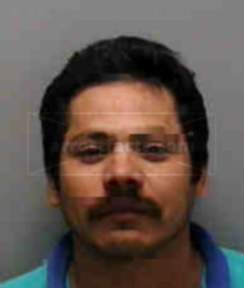 Alonzo Munoz Ferrer