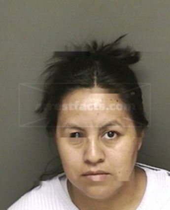 Catalina Ibarra-Flores