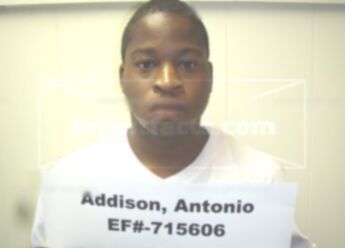 Antonio Fernando Addison
