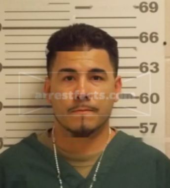 Cisco D Roushia