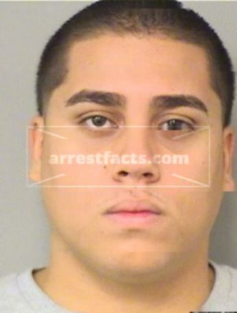 Christian J Rodriguez David
