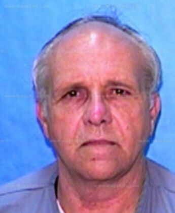 Robert C Haynes
